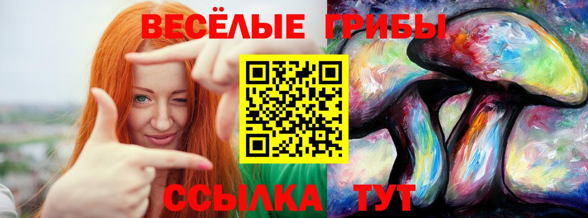 Псилоцибиновые грибы ЛСД Архангельск